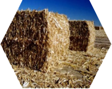 Agro Waste