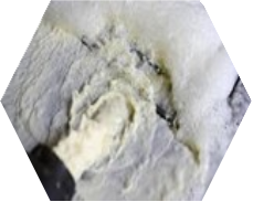 Dairy Waste