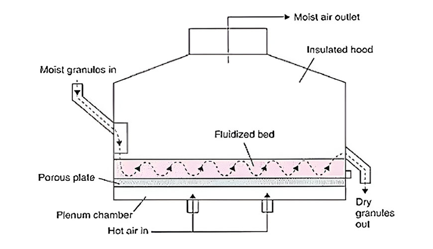 Fluid Bed Dryer