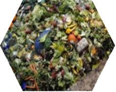 Municipal Solid Waste / Food Waste