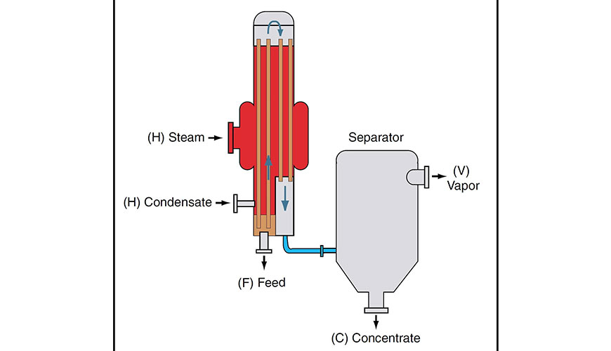 Rising Film Evaporator