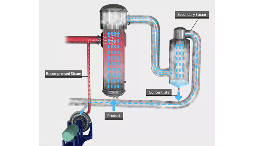 Rising Film Evaporator